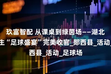 玖富智配 从课桌到绿茵场——湖北省中学生“足球盛宴”完美收官_郧西县_活动_足球场
