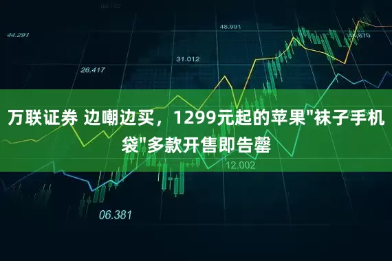 万联证券 边嘲边买，1299元起的苹果"袜子手机袋"多款开售即告罄